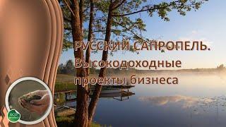 Русский сапропель.  Высокодоходные проекты бизнеса