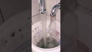 Clogged Sink! Plenty of back flow! #diy #diyprojects #plumber #plumbing #clogged