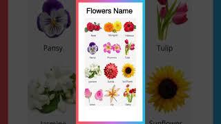 Flowers Name in English