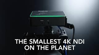 This. Is. Flex - The smallest 4K NDI on the Planet.