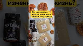 Как микродозинг  красного мухомора изменит вашу жизнь? #мухомор #микродозинг #микродозингмухомора