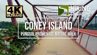 Coney Island & Punggol Promenade Nature Walk (10km 1.5hours)- Hiking Singapore [4K] [HDR]