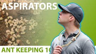 Using Insect Aspirators | Ant Keeping 101