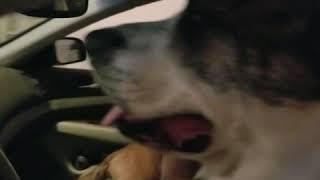 #datenightgonewrong. Cooper, "Just stay quiet Sadie and they won't suspect a thing."