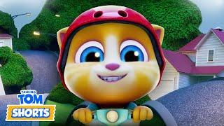  Secret Treasure Hunt  - Talking Tom Shorts (S2 Episode 41)