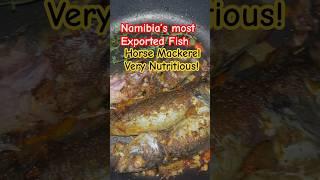 Horse Mackerel Fish.. Namibia’s largest Exported Fish. Very cheap locally!