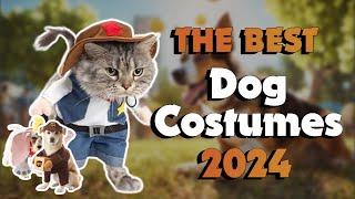 The Top 5 Best Dumbo Dog Costume in 2024 - Must Watch Before Buying!