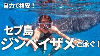 【セブ旅行】自力・格安で行ったオスロブが最高すぎた！！｜バスの乗り方