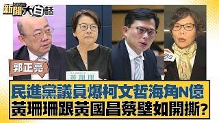 民進黨議員爆柯文哲海角N億 黃珊珊跟黃國昌蔡壁如開撕？ 【新聞大白話】 20240913-8