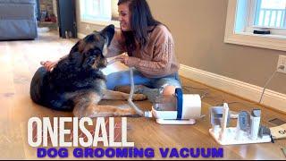 Oneisall Dog Grooming Vacuum demo and review!