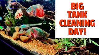 The BIG JOB of *CLEANING & MAINTAINING* BIG TANKS!