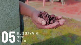 EP05 | Blueberry Wine Press | Angel Estate Winery  [Part 2/2]