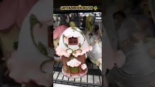 GARTENDEKO BEI TEDI 🪴#tedi#garden #gardendecor #garten #spring #shopping#shopwithme #shorts#newvideo