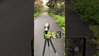 Apexel 60x Hyper Zoom Mobile Lens in Action #shorts #short #viral #ytshorts #trending #shortsfeed