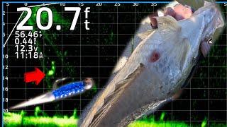 FAT PRESPAWN CRAPPIE – LIVESCOPE NONSTOP ACTION!!