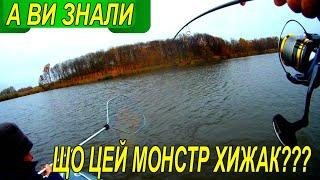 ОФІГЕТЬ,ТАКОГО ХИЖАКА Я ЩЕ НЕ ЛОВИВ НА СПІННІНГ  А ВИ???#рыбалка #fishing #shorts #CУДАК#ЩУКА