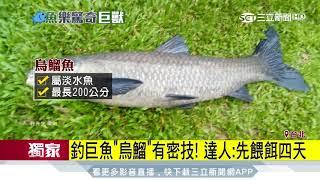 【獨家】北市碧湖公園進擊巨魚？長120cm大魚上鉤│三立新聞台