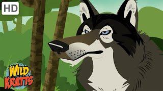 North Amercian Forest | Wolves, Beavers, Moose + more! [Full Episodes] Wild Kratts