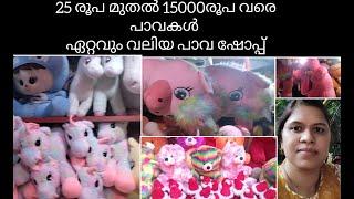 doll house/thrissur doll house/kerala doll house thrissur/our dhanyas world