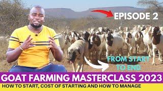 Cost of Starting Goat Farming in 2023 From Beginning To End; Episode 2