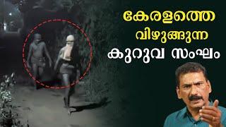 കുറുവ സംഘ ഭീതിയിൽ കേരളം |BS Chandra Mohan |Mlife Daily