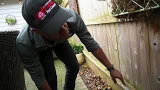Keep Your Home Protected from Termites With Viking Pest Control