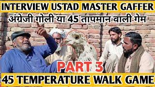 ENGLISH GOLI|| 45 TEMPERATURE WALI APNI GAME|| USTAD MASTER GAFFER NE BATA DI #aliimranpigeonsvlog