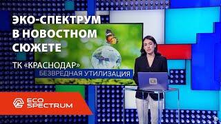 The company "Eco-Spectrum" with the plot of the evening news of the Krasnodar TV channel