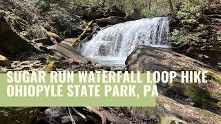 Sugar Run Waterfall Loop Hike - Ohiopyle State Park, PA