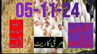 05-11-2024 broiler rate| Today egg rate |Today chicks price|Today poultry rate| today chicken rate