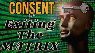 NDE | Had To CONSENT | Memories Were HIDDEN Because of Agreement | Matrix Reincarnation Soul Trap