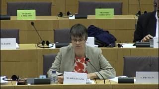 A VAT Review for Women and SMEs - Molly Scott Cato MEP