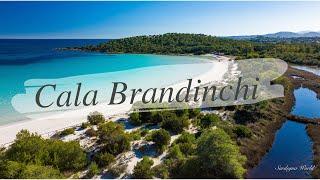 Spiaggia di Cala Brandinchi [ 5K ] Sardegna World by drone