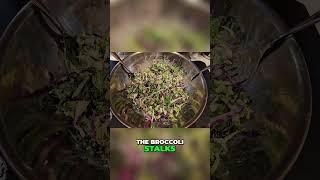 Costco's NEW Broccoli Salad  Is It Worth The $14 ! Taste Test