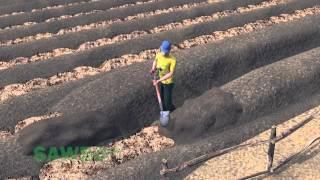 Survival Gardening: Raised Planting Beds in English (accent from USA)