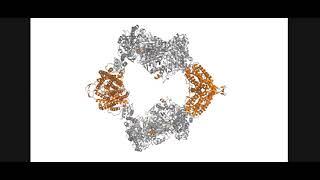 Ribonucleotide Reductase(RNR)