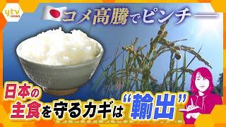 【ヨコスカ解説】日本の米を世界へ　物価高、円安のピンチをチャンスへ　主食を守るカギは「輸出」