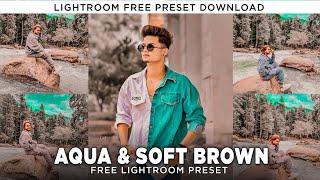 Aqua & Soft Brown Preset - Lightroom Mobile Free Presets DNG |Aqua & Brown Lightroom Preset Download