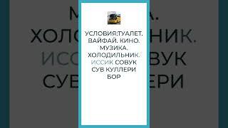 Узбекистан Россия автобусные перевозки