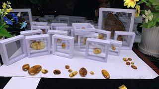 珠寶 琥珀2022|珠宝 琥珀|直播|珠寶 翡翠|珠寶 蜜蠟|jewelry amber|緬甸琥珀|断网继续