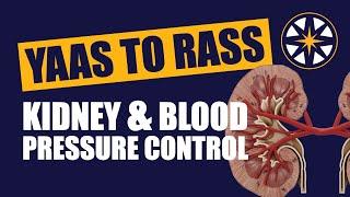 From Yaas to Raas: Understanding the Kidney and Blood Pressure Control