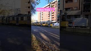 Yellow tram  #travel #carfree #urbantransportation