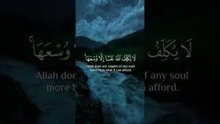 أحمد خالد العتيبي - من أواخر سورة البقرة