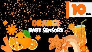 Baby Sensory Video: ORANGE Animations - Visual Stimulation and Eye Coordination