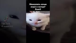 Бывает