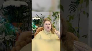 ЖИТЬ ПО ЗАКОНАМ МИРОЗДАНИЯ | Наталья Грибанова | Дар Мира
