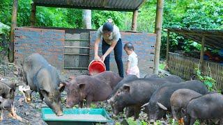 Can You Really Make a Living Off Farming Like Trieu Thi Hien?