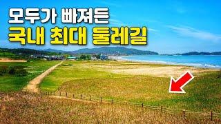 한국의 사하라! 바람이 빚은 기가막힌 우리나라 최대 모래언덕와 바다가 보이는 트레킹 코스 | 대중교통 당일치기 여행