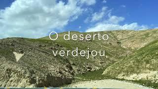 O Deserto da Judeia verdejou