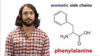 Amino Acids